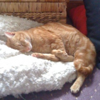 Photo #236118 de Eliott