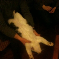 Photo #236145 de Filou