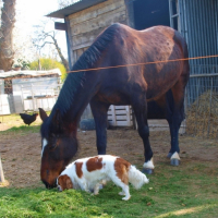 moi et ma copine Hudoise