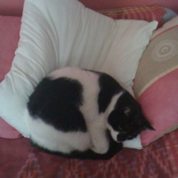 Photo #236189 de Filou