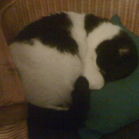 Photo #236190 de Filou