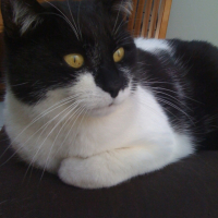 Photo #236191 de Filou