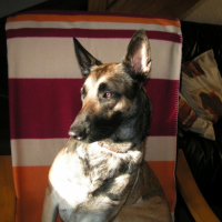 Photo #236222 de Dune 