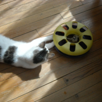 Photo #236225 de Eddy ou edouar