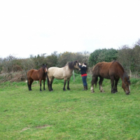 Photo #236252 de Lili