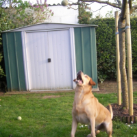 Photo #236338 de Ulysse