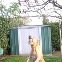 Photo #236339 de Ulysse