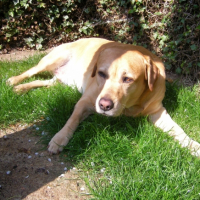 Photo #236342 de Ulysse