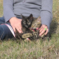 Photo #236419 de Happy