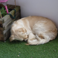 Photo #236443 de Dora