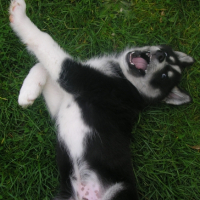 Photo #236504 de Fifty