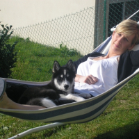 Photo #236505 de Fifty