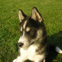 Photo #236506 de Fifty