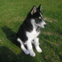 Photo #236509 de Fifty