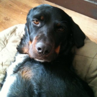 Photo #236539 de Spot