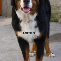 Photo #236655 de Orton
