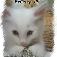 Photo #236705 de Frosty