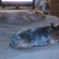 Photo #236779 de Dayra
