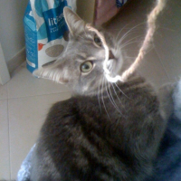 photo_4