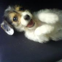 Photo #236946 de Loki