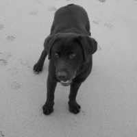 Photo #236981 de Elyot