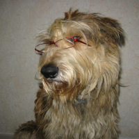 cela me va bien les lunettes?