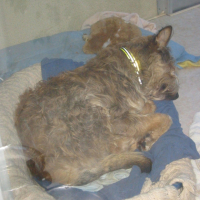 repos du guerrier