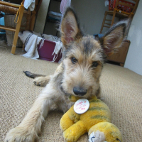 Photo #237220 de Bill de stephieci
