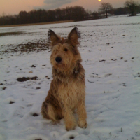 Photo #237226 de Bill de stephieci