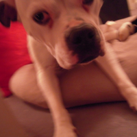 Photo #237250 de Khara