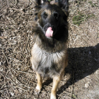 Photo #237270 de Doom