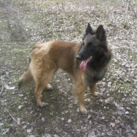 Photo #237271 de Doom