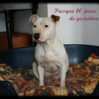 Photo #237299 de Deejay