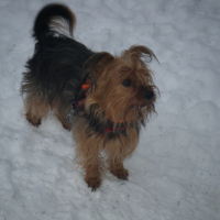 Photo #237429 de Donna