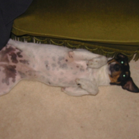 Photo #237441 de Tania