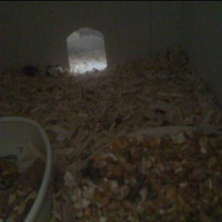 Photo #237472 de Maussy