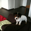 Envoye de mon iPhone