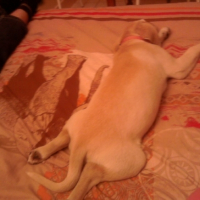 Photo #237586 de Daisy