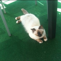 Photo #237590 de Dusty