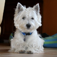 Photo #237598 de Eddy