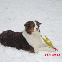 Photo #237658 de Dan'can