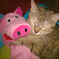 Photo #237661 de Zoé