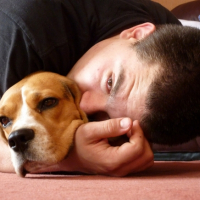 Mon Maître et moi en ballade