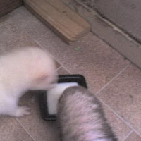 Photo #237719 de Bianca