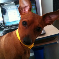 Photo #237779 de Arthur
