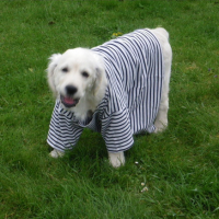 Photo #237844 de Vanille