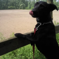 Photo #237886 de Xena
