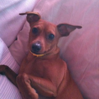Photo #237924 de Arthur