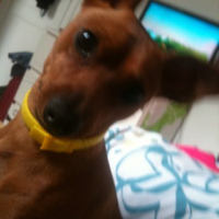 Photo #237925 de Arthur