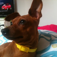 Photo #237927 de Arthur